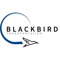 Blackbird